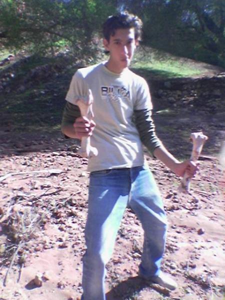flenstonnee