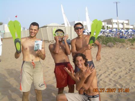 made in palmania